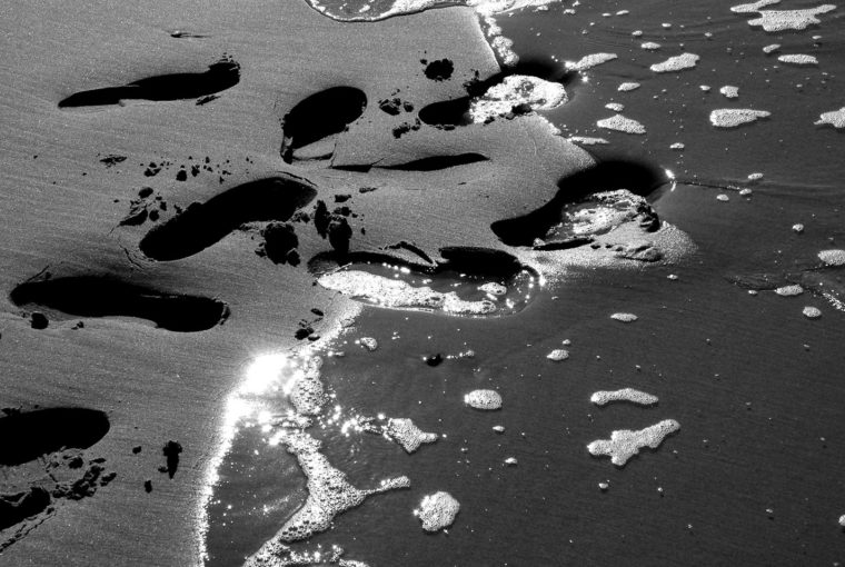 Empreintes Mer du Nord Avril 2007