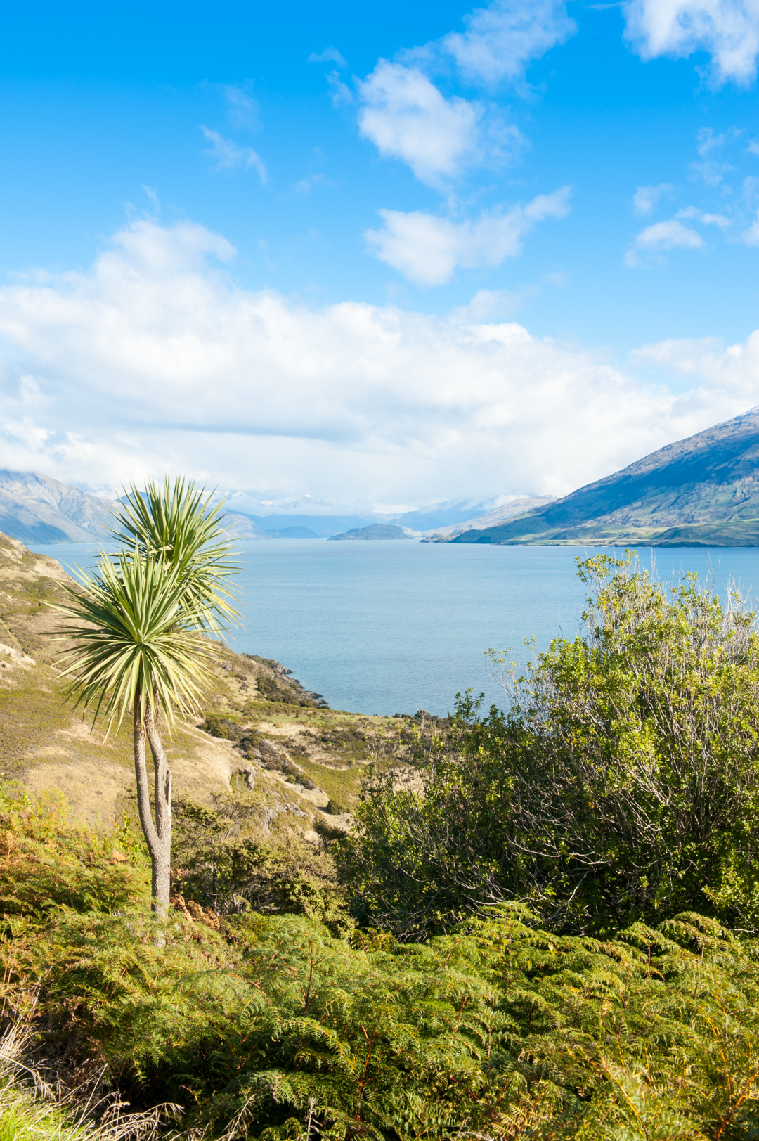 Road Trip NZ ile du Sud-159