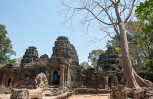 Cambodge Temples d'Angkor-101