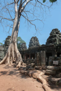 Cambodge Temples d'Angkor-104