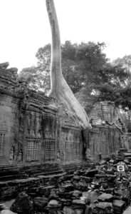 Cambodge Temples d'Angkor-146