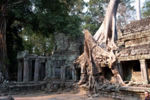 Cambodge Temples d'Angkor-147