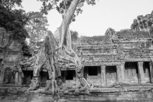 Cambodge Temples d'Angkor-148