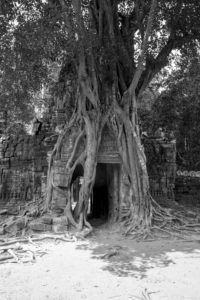 Cambodge Temples d'Angkor-163