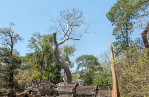 Cambodge Temples d'Angkor-65