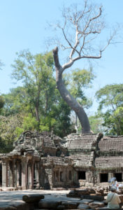 Cambodge Temples d'Angkor-67