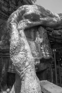 Cambodge Temples d'Angkor-72