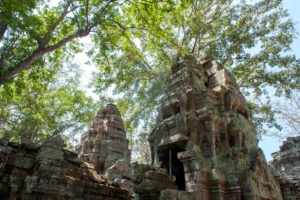 Cambodge Temples d'Angkor-77