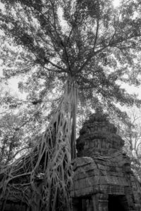 Cambodge Temples d'Angkor-80