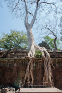 Cambodge Temples d'Angkor-85