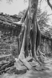 Cambodge Temples d'Angkor-88