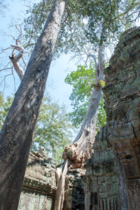 Cambodge Temples d'Angkor-90