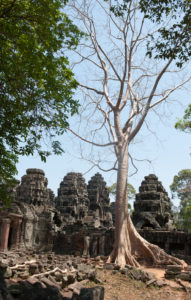 Cambodge Temples d'Angkor-99