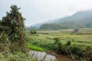 Laos Luang Nantha-11